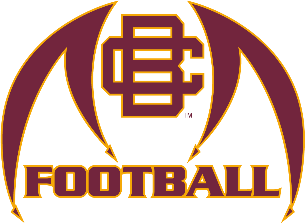 Bethune-Cookman Wildcats 2010-2015 Misc Logo iron on transfers for clothing